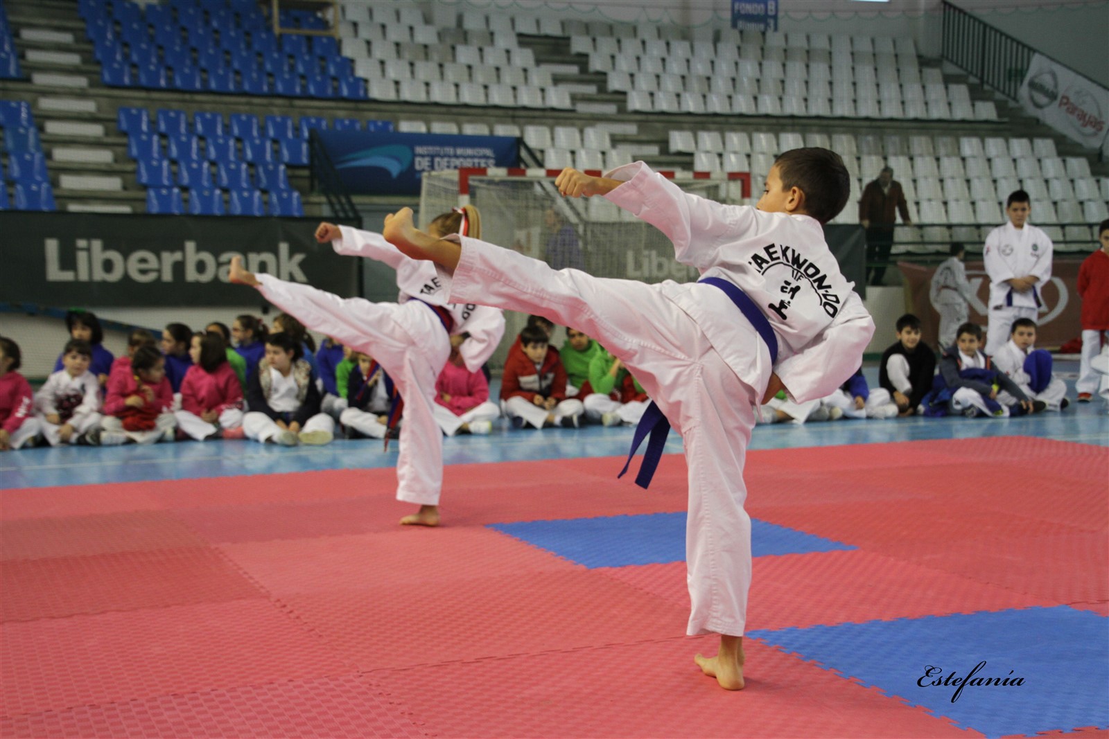Taekwondo (159).jpg
